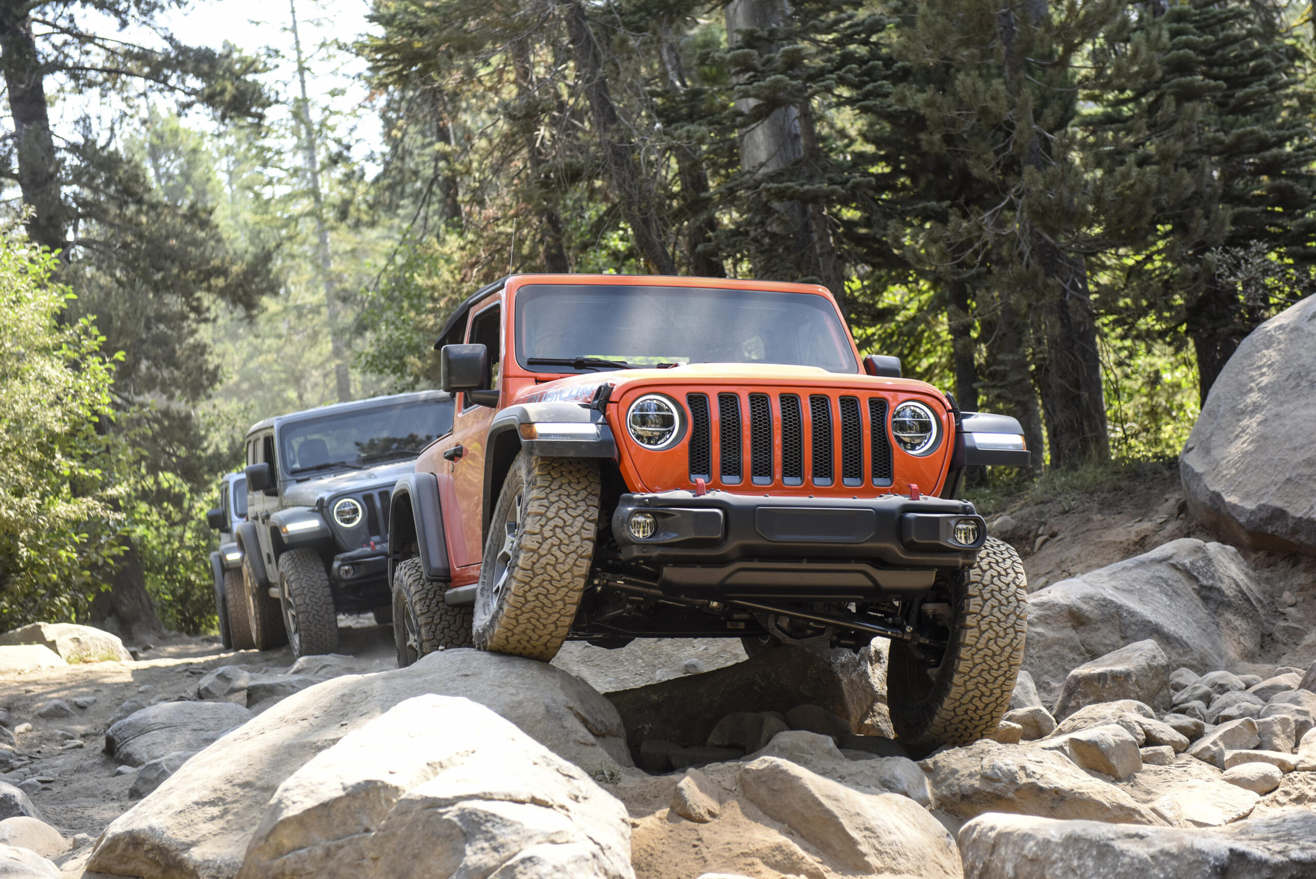 Best Cars for Rough Roads